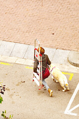 Mujer caminando por la calle con escalera y perro  