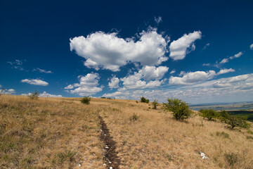 Dry grass on Table mountain in Palava, in hot summer day under white clouds and blue sky. Czech Republic.