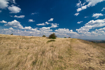 Fototapeta premium Dry grass on Table mountain in Palava, in hot summer day under white clouds and blue sky. Czech Republic.
