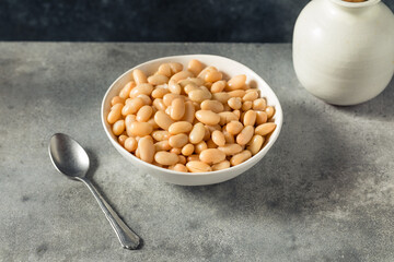 Raw White Organic Cannellini Beans