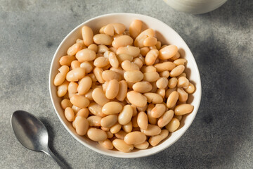 Raw White Organic Cannellini Beans