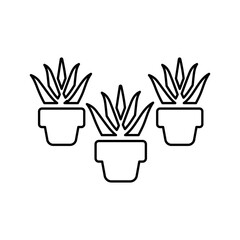 Agave, alovera, cactus outline icon. Line art vector.