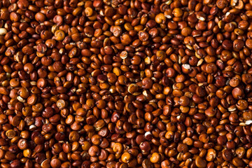 Obraz premium Raw Organic Red Quinoa Seed