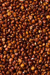 Raw Organic Red Quinoa Seed