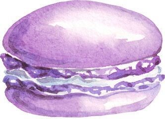 Macaroon. Dessert. Watercolor illustration. Hand-painted	
