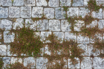 Fragment of a sidewalk paved with granite stone, overgrown with moss, for use as an abstract background and texture.