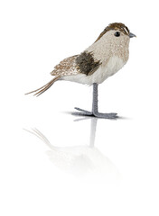 cloth bird doll clipping path transparent background
