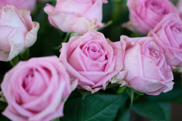 Hochzeitsblumen und -dekoration
