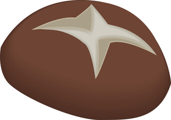 Food ingredient fungus mushroom