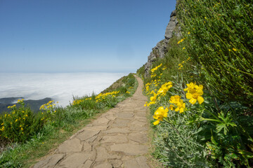Hiking path of Madeira, Portugal