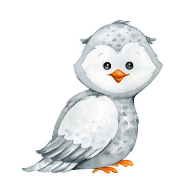 Cute polar owl in cartoon style, but isolated background. Watercolor illustration