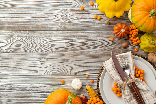 Thanksgiving day concept. Top view photo of plate knife fork napkin raw vegetables pumpkins pattypans corn walnut rowan berries and acorn on isolated grey wooden table background with copyspace