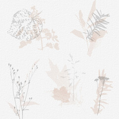 Delicate watercolor botanical digital paper floral background in soft basic nude beige tones