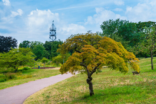 Germany, Stuttgart city killesberg urban park with killesbergturm tower in beautiful nature landscape a tourism spot in the city