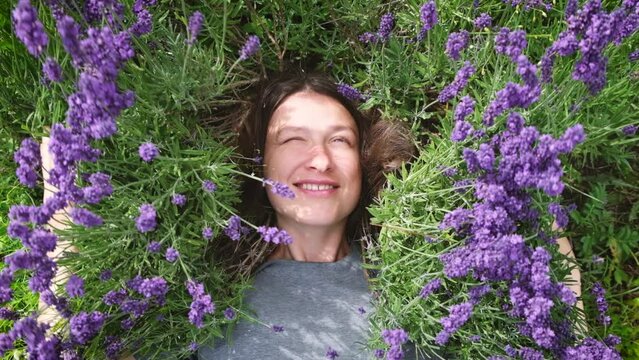 Happy middle aged woman lying among lavander flowers in blossom field, touching lavender flowers. Freedom, love nature concept.