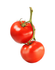 twig with two tomatoes