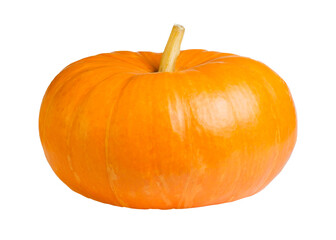 Pumpkin isolated on transparent background. PNG format