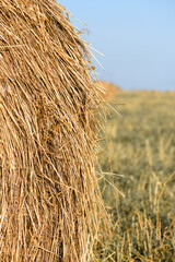 Haystack on the field close-up. Harvest concept. Rural scenery