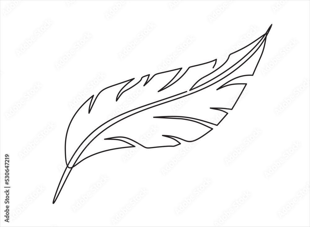 Poster continuous one single line drawing of feather
