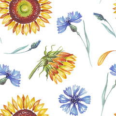 Sunflower and cornflowers. Watercolor pattern