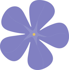 purple  flower. Periwinkle