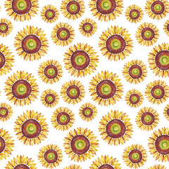 Sunflower. Seamless pattern. Watercolor illustration. Hand-painted