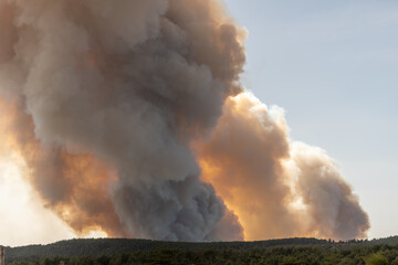 Forest fire wreaks havoc on causse de sauveterre.