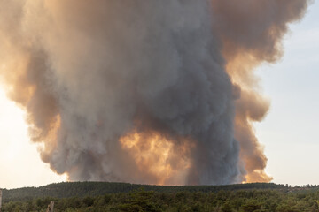 Fototapeta na wymiar Forest fire wreaks havoc on causse de sauveterre.