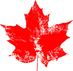 Maple leaf red paint print