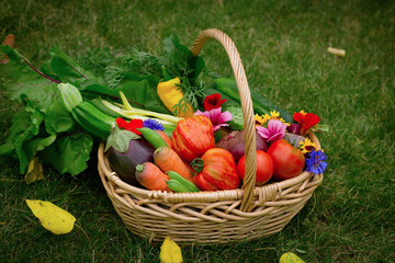 Fresh organic vegetables in the basket on the grass