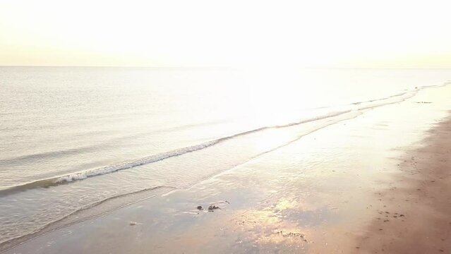 Sonnenuntergang am Strand von Zeeland, Holland
