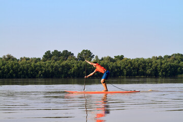 Side view of man on stand up paddle boarding (SUP) paddling along the calm spring Danube river against a background of gently green trees at the shore