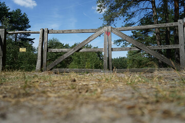 Gate of Love, Heart on a wooden gate in the forest