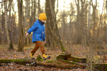 Cheerful child during walk in the forest on a sunny autumn day. Preschooler boy is having fun while walking through the autumn forest. Family time on nature. - obrazy, fototapety, plakaty