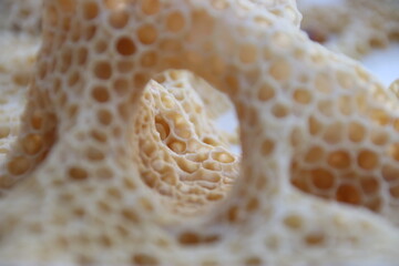 Honeycomb pattern closeup