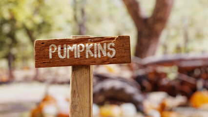 wooden pumpkin  sign at autumn farm