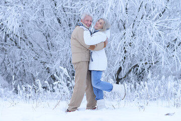 Nicel elderly couple rejoice together in winter