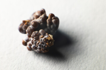 Macro extreme nephrolithiasis - close-up of a kidney stone renal calculus or nephrolitis on a white background.