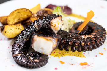 hot and cold entrees such as ceviche, octopus, asparagus, medallions, and tarts

