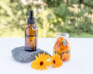Two bottles of essential oil and calendula flowers for the care of women's skin on a natural background. Stone podium. Front view