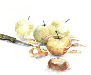 Watercolor drawing peeled apples ready for cooking the pie
