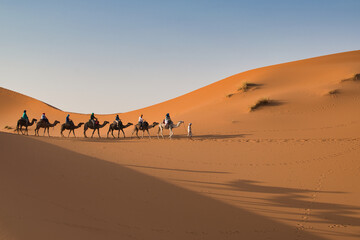 caravan in the desert, trip from Merzouga, beautiful desert landscape