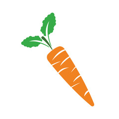 Farm-grown organic carrots. Organic fresh vegetable vector illustration	