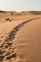 Dunes in the Sahara desert at sunset, the desert near the town of Merzouga, a beautiful African landscape