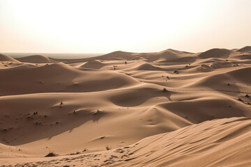 Dunes in the Sahara desert at sunset, the desert near the town of Merzouga, a beautiful African landscape
