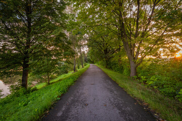 Fototapeta premium Cycle route with green sumer trees in fresh sunrise morning
