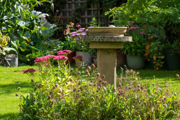 Fototapeta na wymiar Wildlife friendly suburban garden with bird bath, pink sedum flowers in foreground, container pots, flowers and greenery. Photographed in Pinner, northwest London UK.