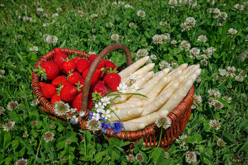 Fresh raw white asparagus and red strawberries offered as close-up in a basket outdoor at a green...