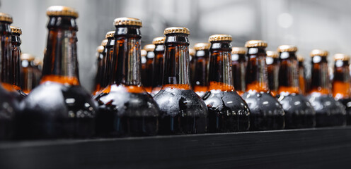 Brown glass beer drink alcohol bottles, factory brewery conveyor, modern production line