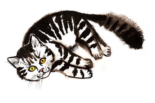cute cat illustraion hand paited on a paper